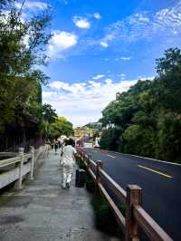 舟山一日遊—普陀山普濟寺—不肯去觀音院—沈家門港灣—返程