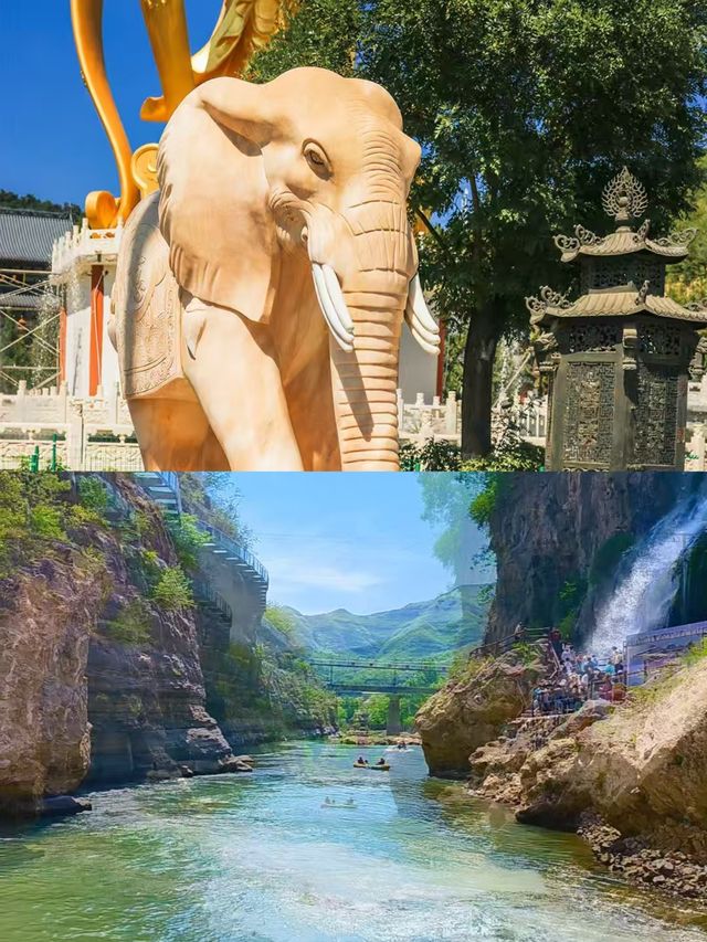 陽泉受苦已回，要去的姊妹慎重。