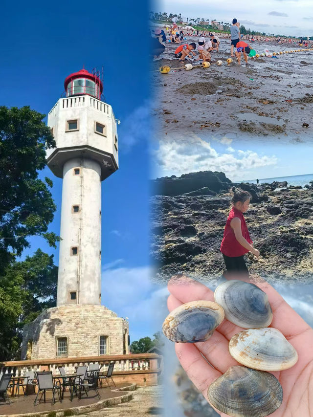 廣東趕海天花板？向海尋鮮！茂名灘塗尋鮮大挑戰！