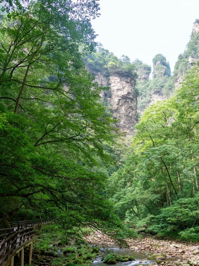 張家界避暑秘境全息地圖