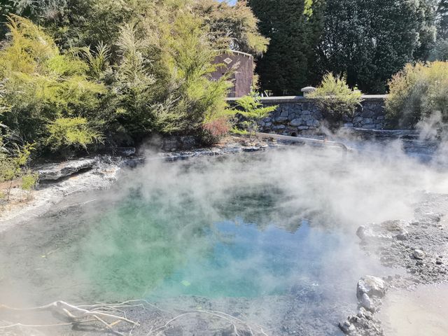 羅托魯阿：火山上的夢幻之城