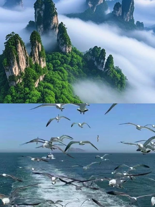海陽已回，說點難聽的大實話