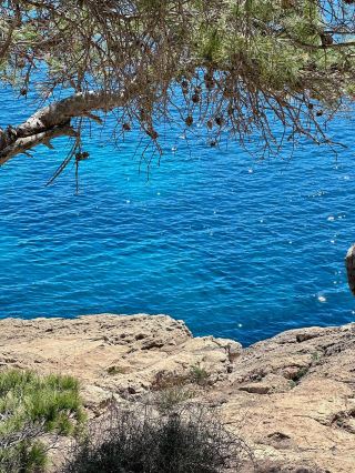 Mallorca｜The Blue Rhapsody of the Mediterranean and the Epic of the Tramuntana Mountains