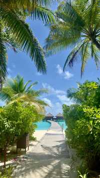 Comfortable Villas and Delicious Dining Experience