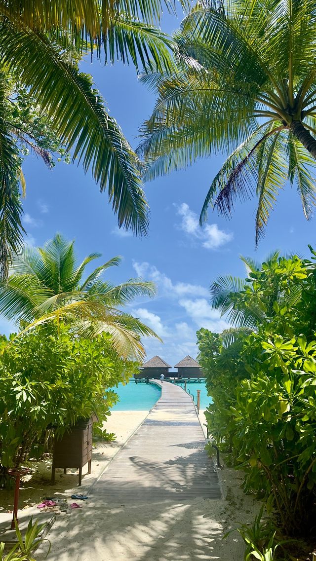 Comfortable Villas and Delicious Dining Experience