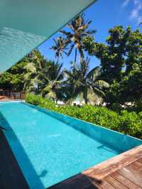 Ideal Stay for Manta Rays