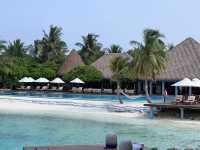 A Memorable Return to the Maldives