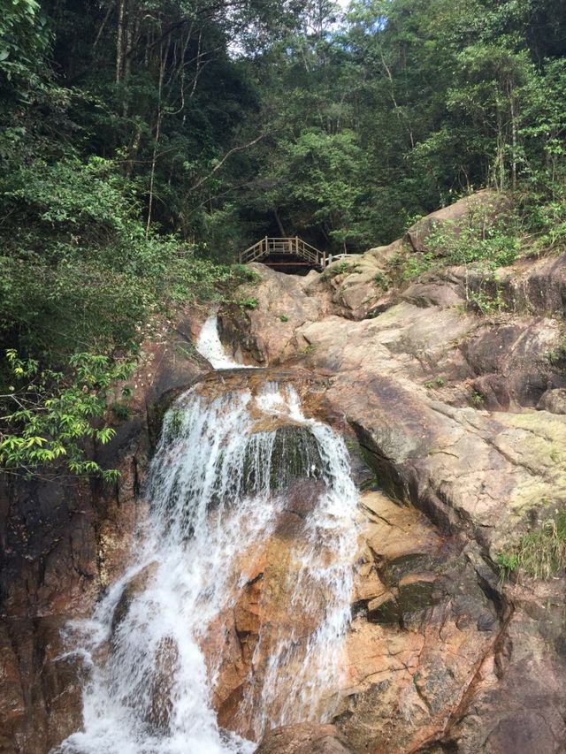 隱世秘境！穿越九龍江國家森林公園的綠野仙蹤 **推薦理由** 南嶺綠寶石！森林覆蓋率達97%的