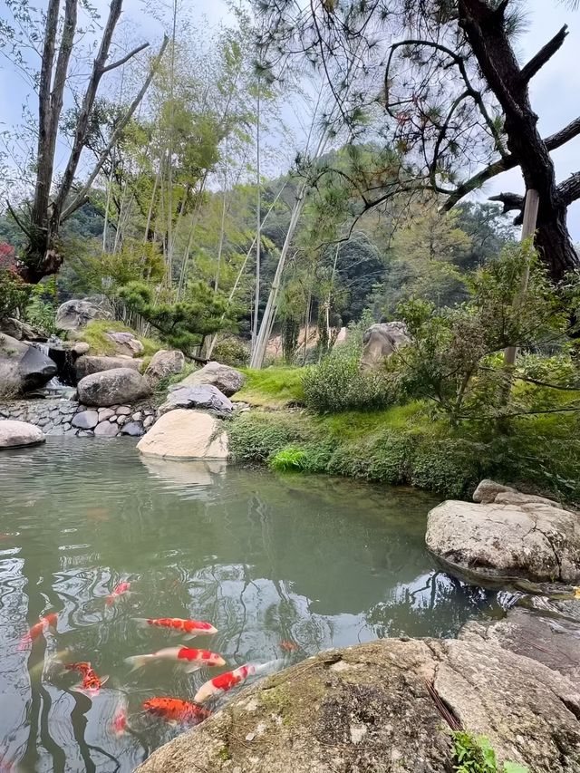 小河彎彎，秋日草坪上的慢時光