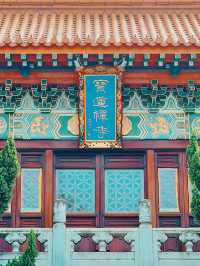 【靈山聖境】寶蓮禪寺心靈之旅  