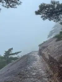 黃山單日徒步超詳細攻略