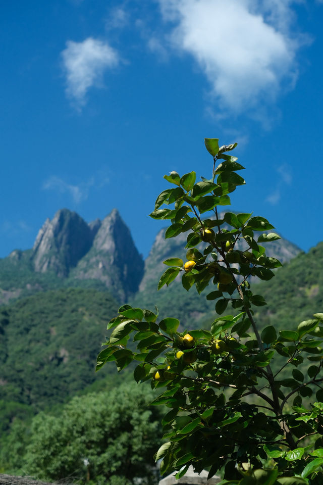 國慶去哪玩｜住進山脈下的雅居，躺在三清山幽然度假