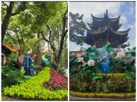 翠湖公園已回真不建議10月去，因為真的太香了