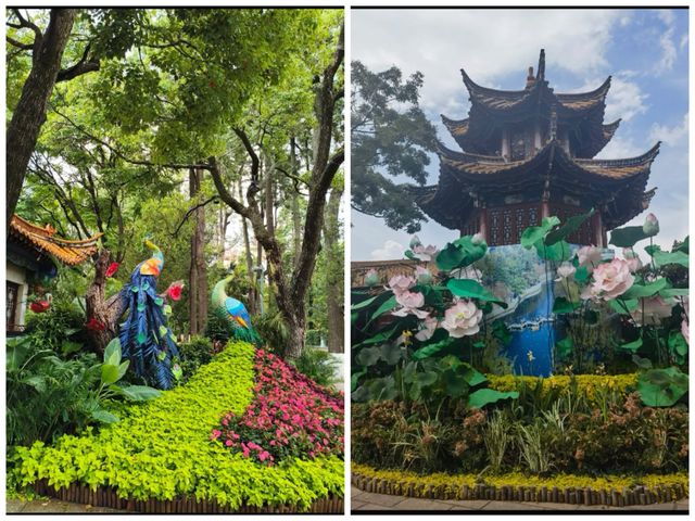 翠湖公園已回真不建議10月去，因為真的太香了