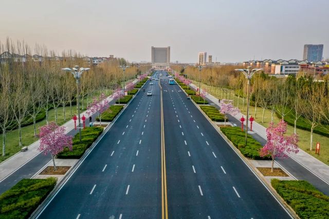 【震撼！你知道東營不僅是油城，更是「黃河的後花園」嗎？】