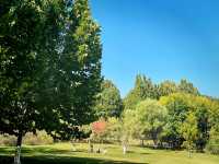 秋日奧林匹克公園-南園私藏打卡路線