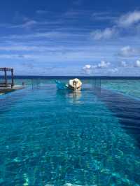 Sophie's Exceptional Care Enriches Island Vacation