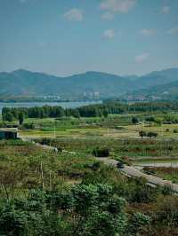 上海自駕2.5h！四明山吸氧遛娃攻略打工人週末甩開班味
