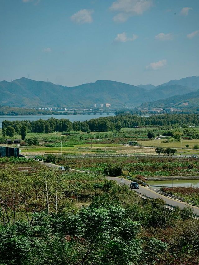 上海自駕2.5h！四明山吸氧遛娃攻略打工人週末甩開班味