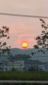 賞開平百年碉樓，入住里苑民宿