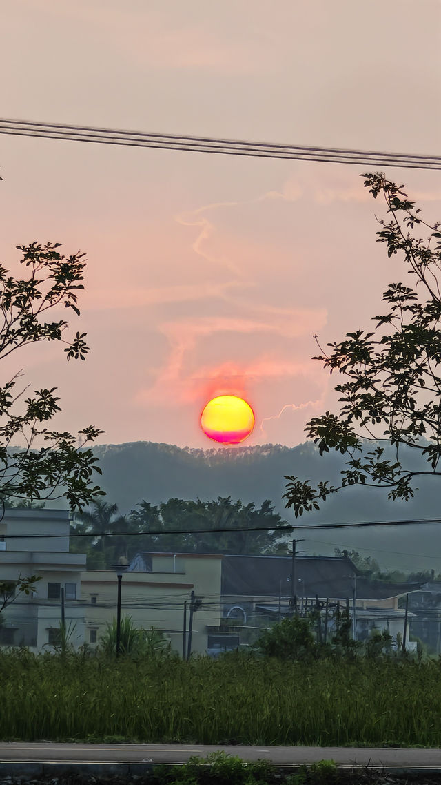 賞開平百年碉樓，入住里苑民宿
