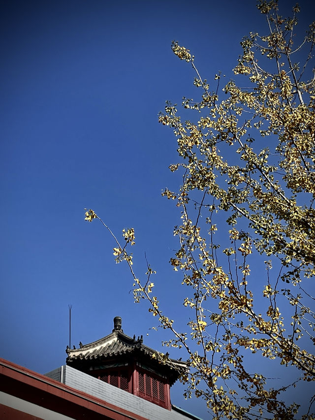 瀋陽故宮紅牆！拍不出的美才是限量版