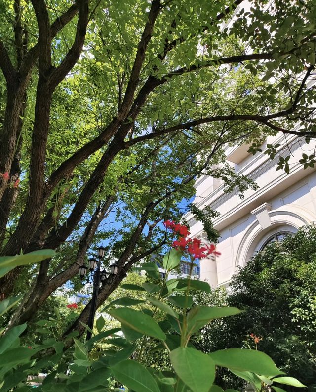 獨特的建築風景與城市新名片/柳州白宮