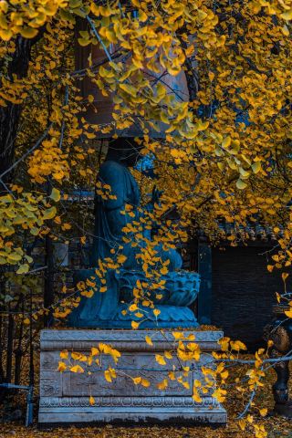 The Ancient Guanyin Temple is located in Luohandong Village, Dongda Street, Chang'an District, Xi'an City, Shaanxi Province, and is a thousand-year-old temple with a long history.