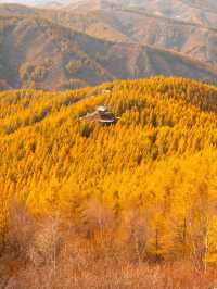 蘇木山旅遊攻略