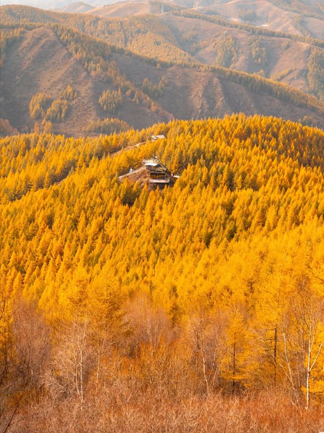 蘇木山旅遊攻略