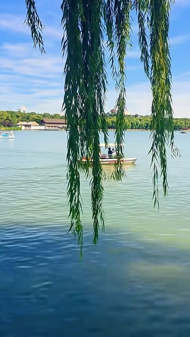頤和園的鄰居竟藏了個仙境！北海公園3小時逛拍攻略  北海公園頂流！白塔倒影美到窒息！ 必去理由 