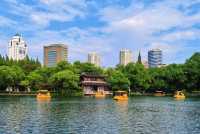 鬧市中的避風港寧波月湖散步太治癒了！