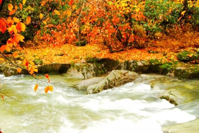 紅葉封神打卡地之四川南江光霧山