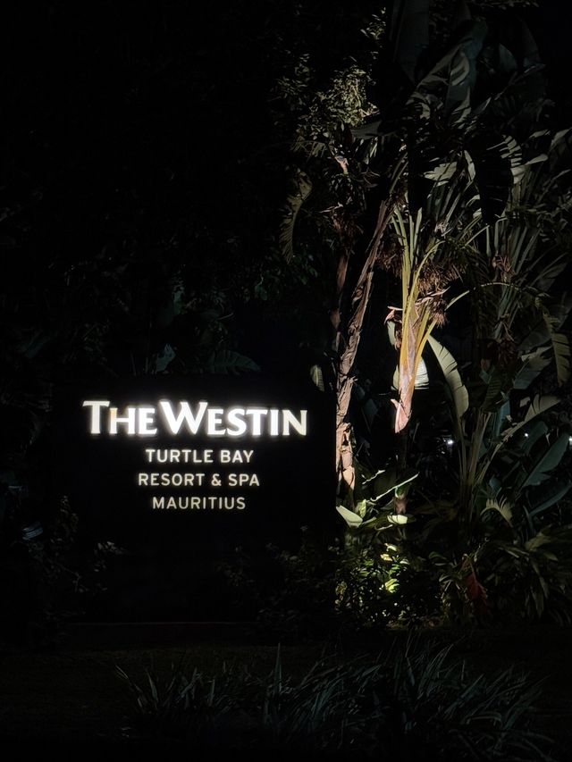 Breathtaking Amenities and Service at a Stunning Hotel
