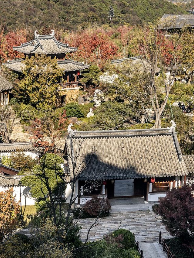 秋遊南京3日遊這份攻略碼住不虧