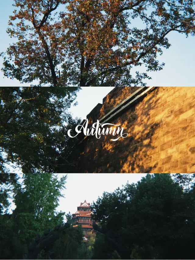 ลมหายใจของเมืองเจียงชิง