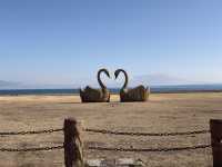 對於在成都忙碌的打工人來說，賽里木湖絕對是讓你暫時逃離都市喧囂、 recharge 能量的完美選擇。