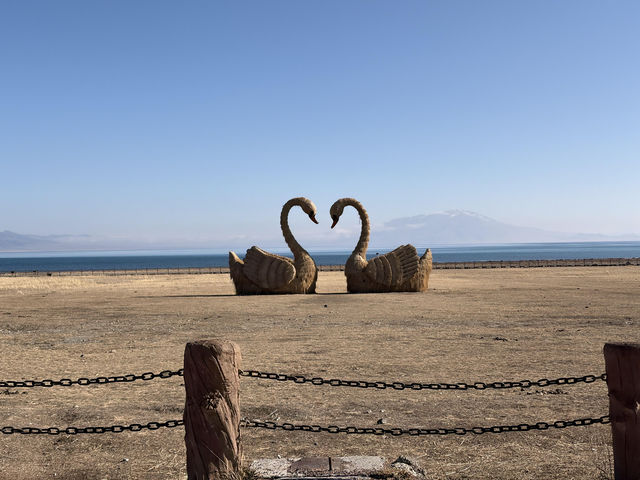 對於在成都忙碌的打工人來說，賽里木湖絕對是讓你暫時逃離都市喧囂、 recharge 能量的完美選擇。