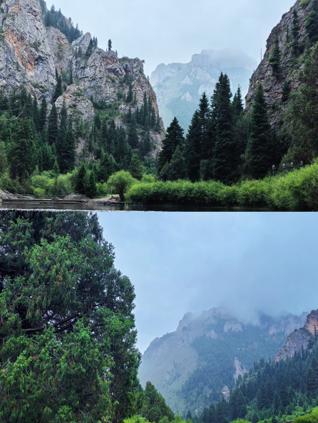 則岔石林,甘南的一顆璀璨明珠,等你來發現 則岔石林,甘南的一顆璀璨明珠,等你來發現