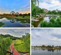 文藝青年德州攻略