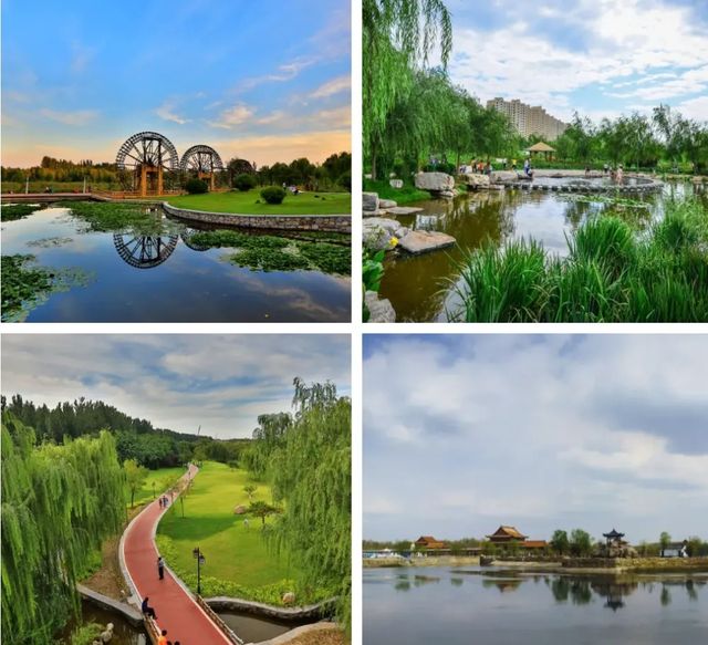 文藝青年德州攻略