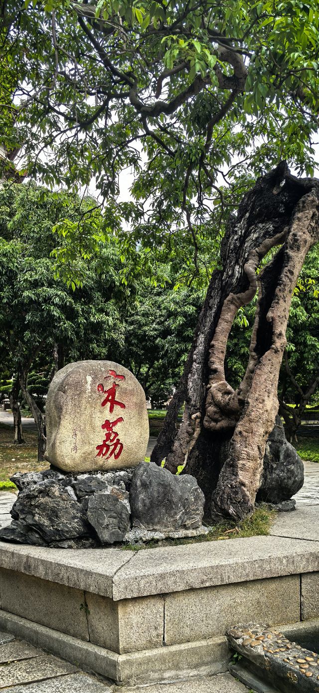 福州的禪意時光