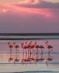 農曆新年外遊打卡美國經典一號公路