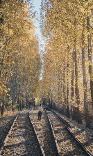 Beijing Surroundings｜East of Tongzhou, encounter a golden time tunnel