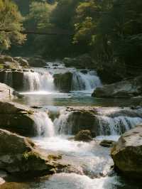 親子賞秋天花板！光霧山紅葉帶娃解鎖童話秋景