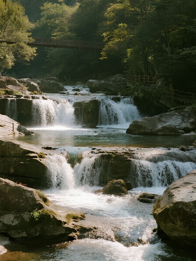 親子賞秋天花板！光霧山紅葉帶娃解鎖童話秋景