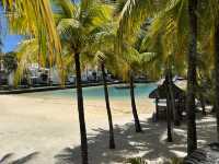 Impressive Service at Hilton Midtown