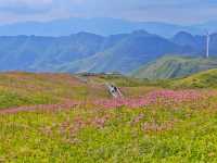 藏在貴州的 “高山小草原”，騎馬看雲超治癒！  貴州一處能 “假裝在內蒙古” 的寶藏地 —— 二台坡