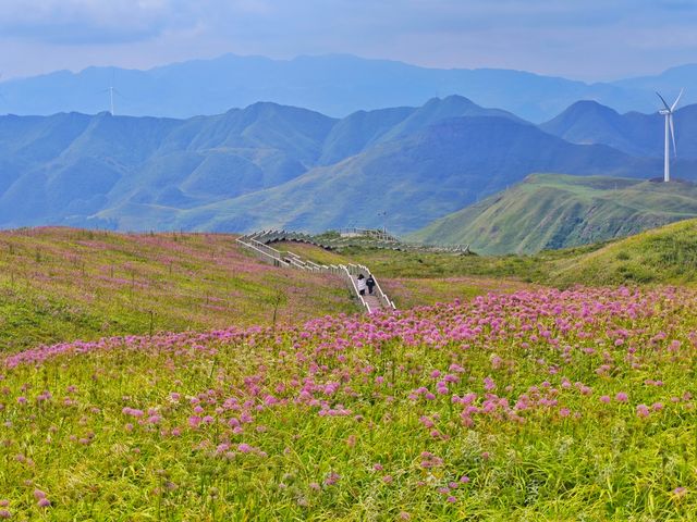 藏在貴州的 “高山小草原”，騎馬看雲超治癒！  貴州一處能 “假裝在內蒙古” 的寶藏地 —— 二台坡