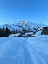 雪落人間，把世界裹成純白童話